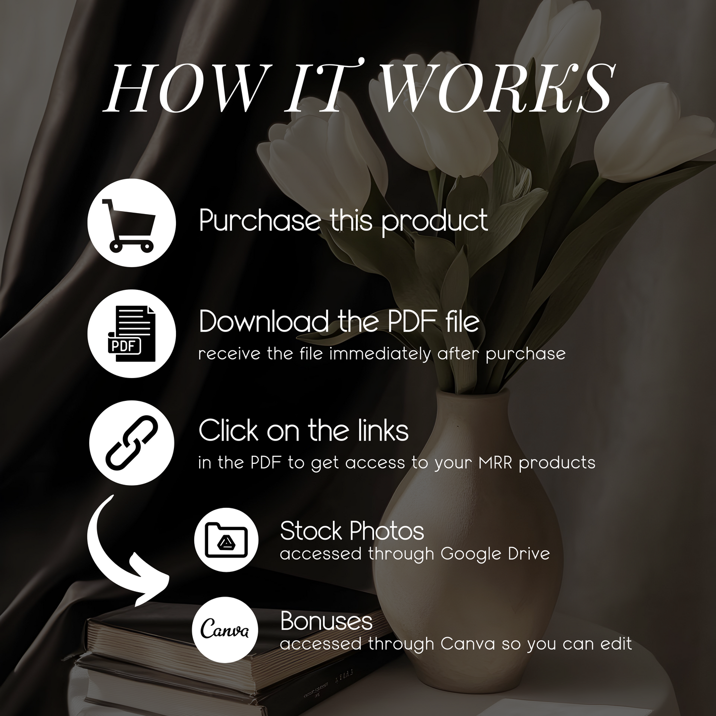 Aesthetic Girl Boss: 45 Stylish Stock Photos for Modern Entrepreneurs, Influencers & Content Creators