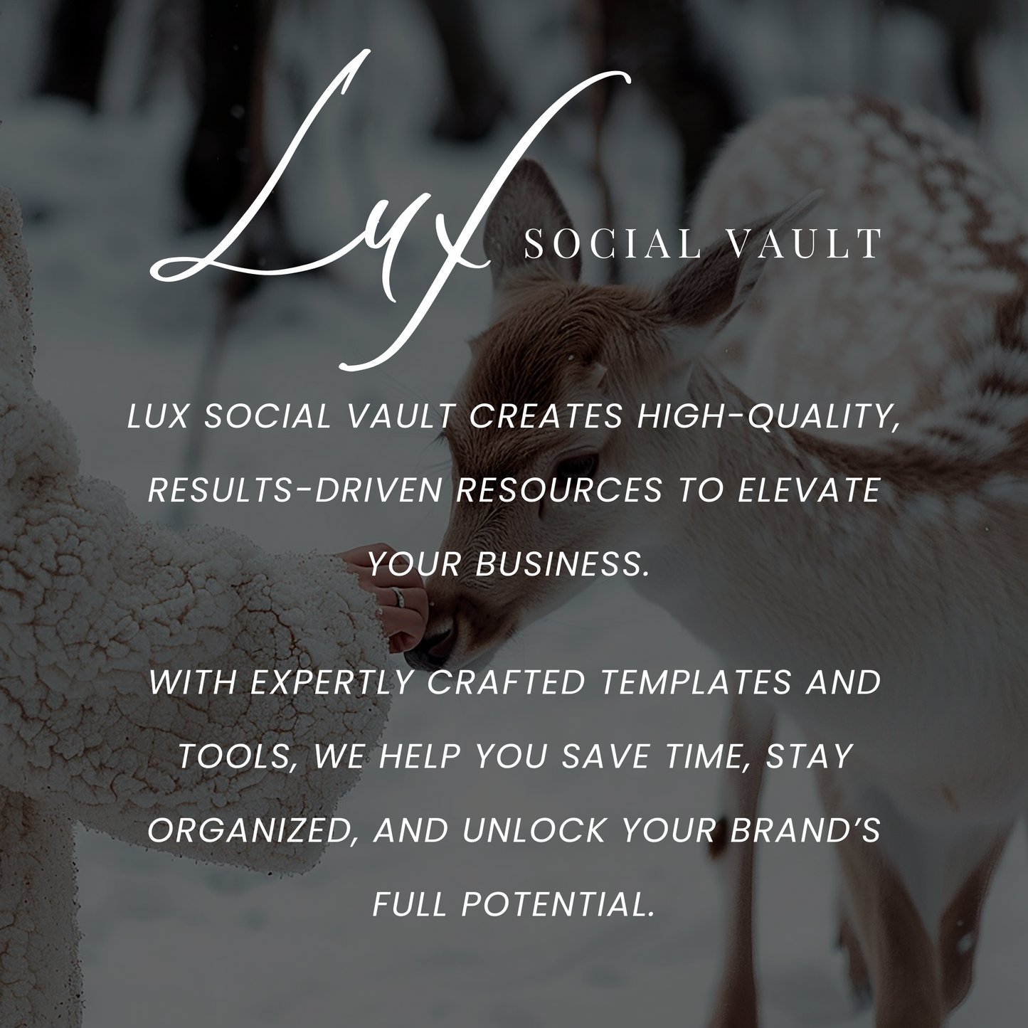 Rustic Charm Christmas Collection – 100 High-Quality Stock Photos for Warm, Nostalgic Holiday Marketing